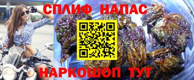 PSILOCYBIN Бузулук