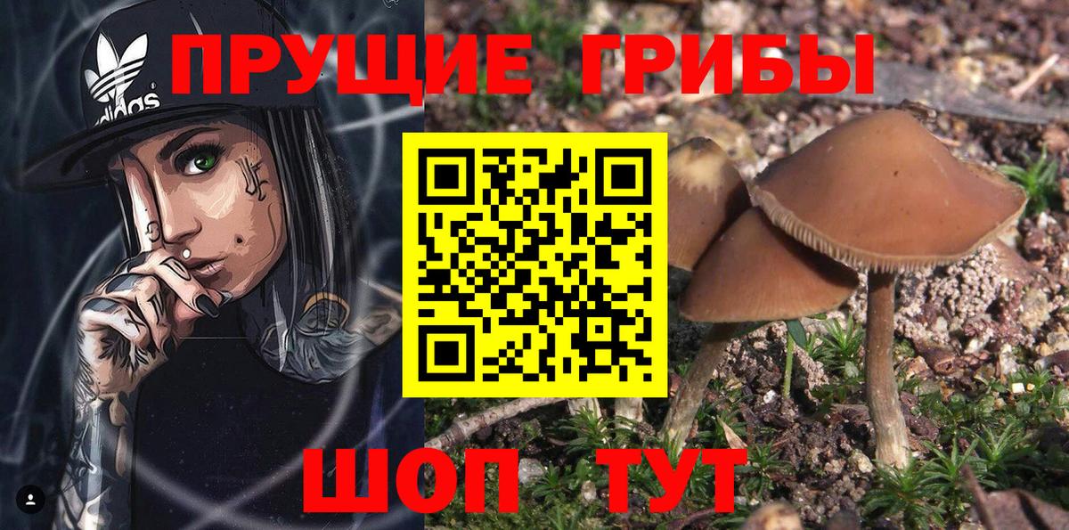 Галлюциногенные грибы мухоморы  Галлюциногенные грибы мицелий  Вход с VPN  Тихорецк 