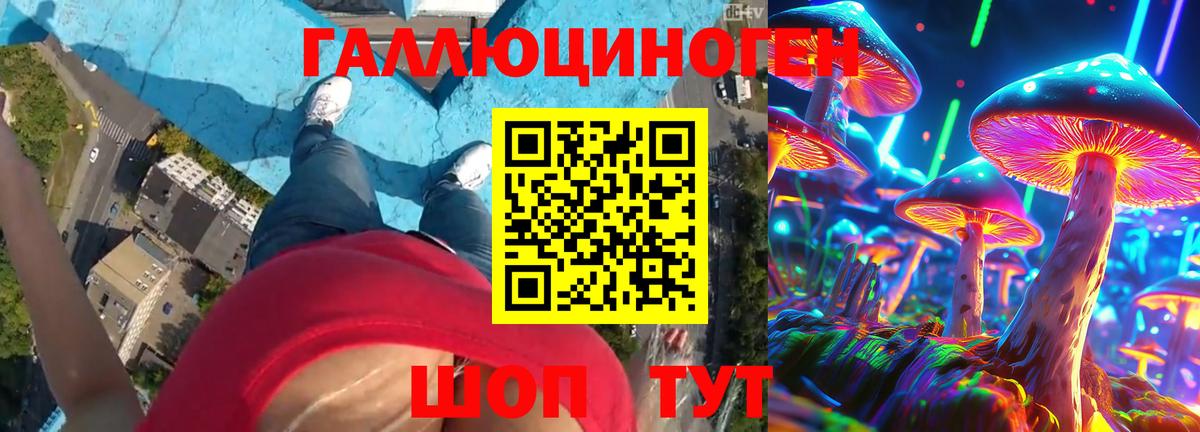 Псилоцибиновые грибы прущие грибы Тихорецк